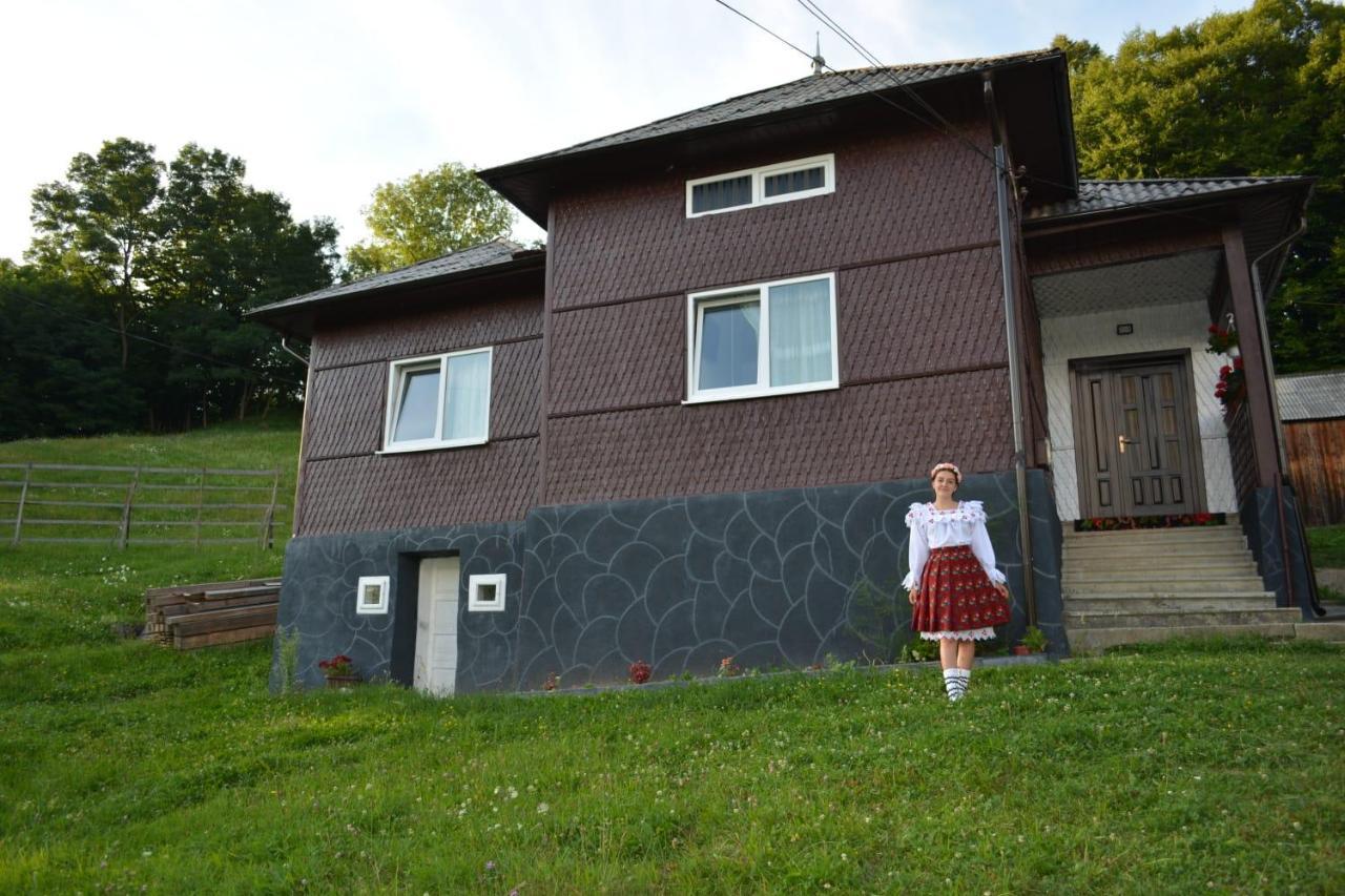 Cabana HATERE Moisei Exterior foto