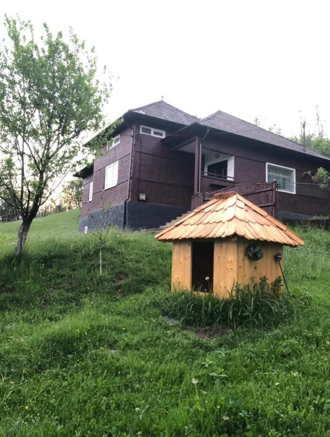 Cabana HATERE Moisei Exterior foto