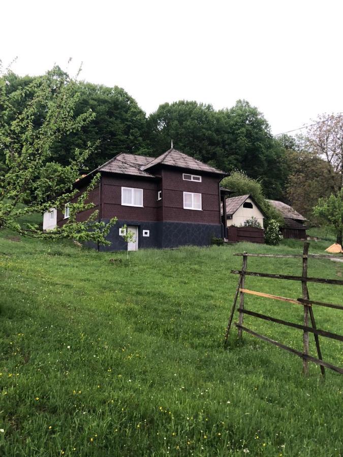Cabana HATERE Moisei Exterior foto