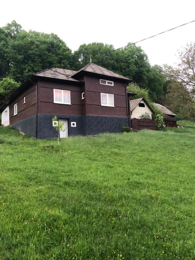 Cabana HATERE Moisei Exterior foto