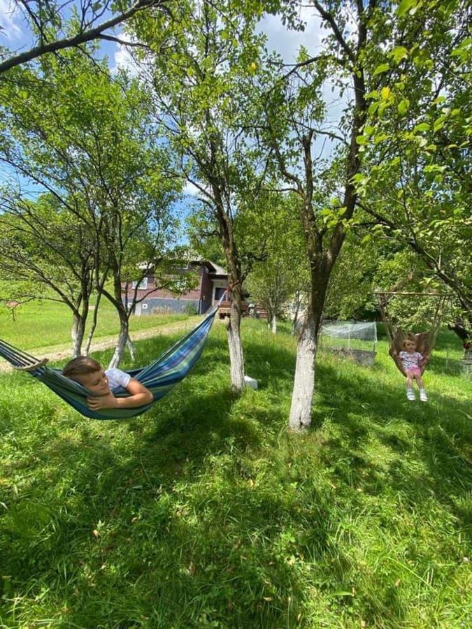 Cabana HATERE Moisei Exterior foto